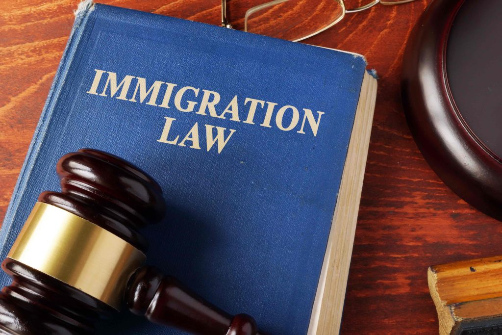 ImmigrationLaw3