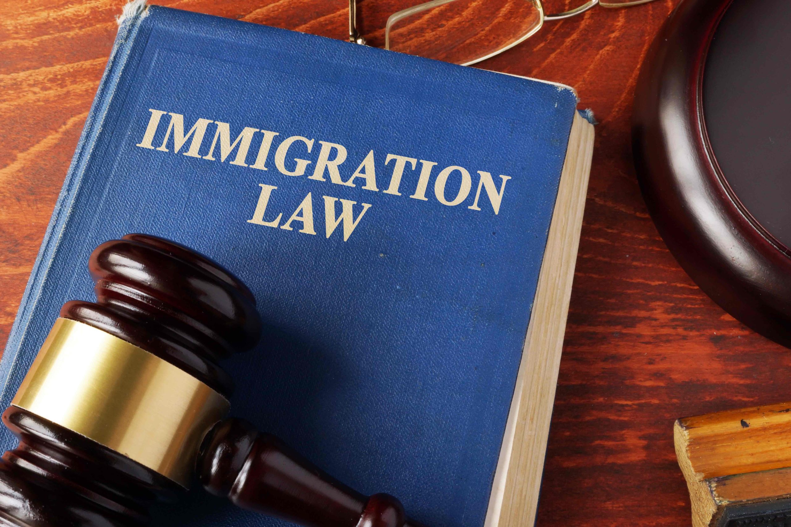 ImmigrationLaw3